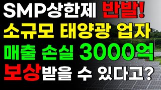 태양광 개인사업자 778명이 참여한 SMP 상한제 헌법소원 파기, 보상받을 수 있을까?