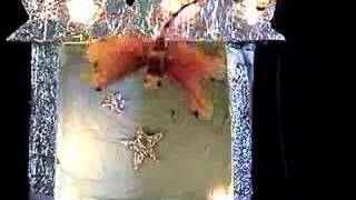 Wee Hairy Beasties, "Toenail Moon"