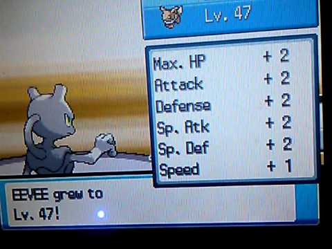 Pokemon soulsilver rematch battle Chuck, Pryce