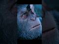 🔥 Caesar Defies the Colonel | War for the Planet of the Apes