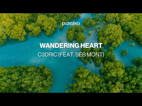 C3DRIC (feat. Séb Mont) - Wandering Heart (Music Video)