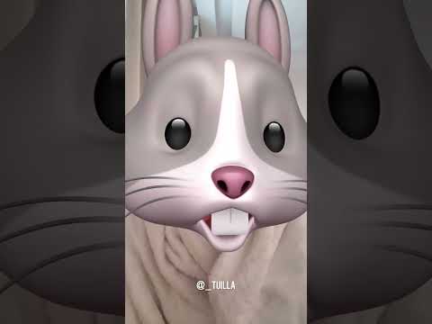 Easter Bunny Call