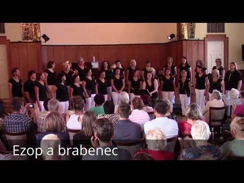 Ezop a brabenec, Klobouk ve křoví