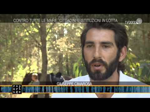 Siamo noi reportage - "Contro tutte le mafie, cittadini e istituzioni in lotta" - 28 luglio 2015