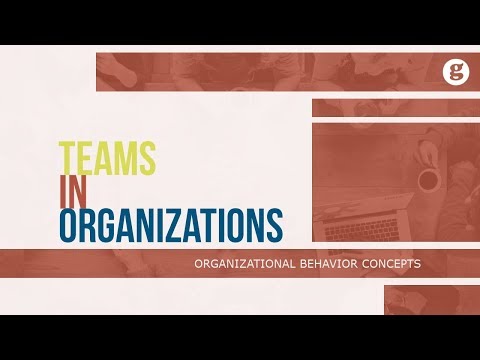 What is Organizational Behavior