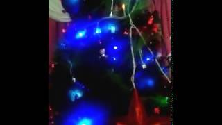 La Isla Bonita sung by Gina Paraguya Tolibas