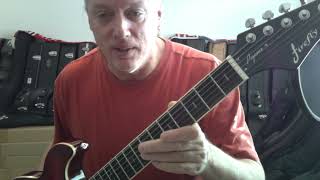Video thumbnail for Firefly Pegasus Electric Guitar by Flowforth Instruments
