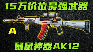 三角洲行动 15万轻松稳压+4弹自由！新版本鼠鼠的最强性价比神器AK12改法教学！【A】