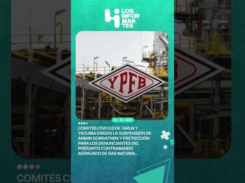 Cívicos de Tarija y Yacuiba piden suspender a Armin Dorgathen y proteger a denunciantes