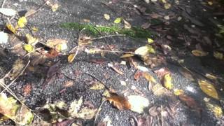 Another Way to Love You, Michael Tomlinson