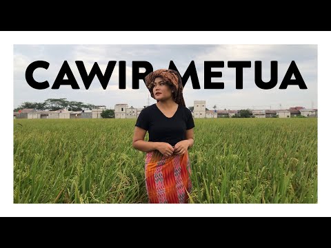 Cawir metua , Cipt. Usman Ginting ( Cover by Cindy Grammy Br Ginting )