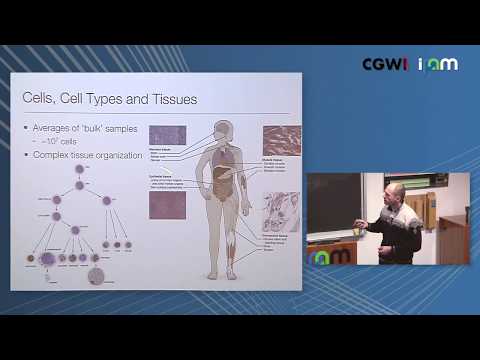 Peter Kharchenko: "Single-cell analysis of heterogeneity in normal and disease tissues"