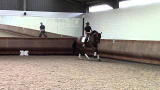 TinTin (Louboutin) ridden by Jess Thompson
