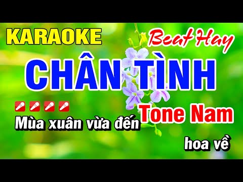 Karaoke Chân Tình (Beat Chuẩn) Nhạc Sống Tone Nam | Hoài Phong Organ