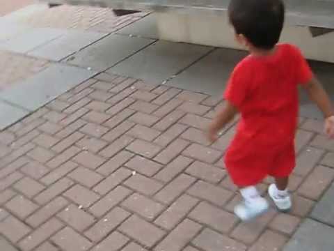 Devang 0512 - going behind pigeon