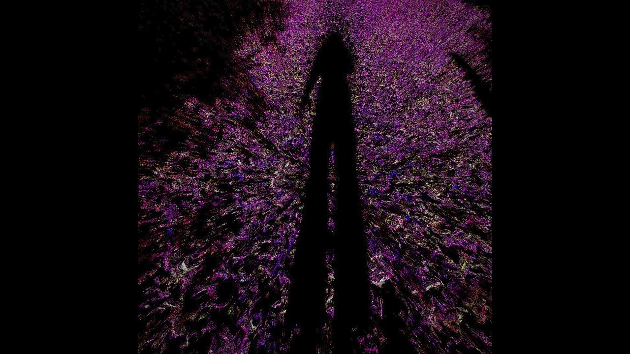 Ayla Loon - Chiroptera