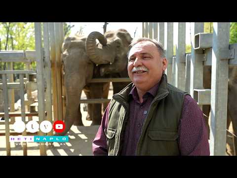 Állatkertből a miniszteri székbe! Bemutatjuk a Tisza Párt sztárpolitikusát