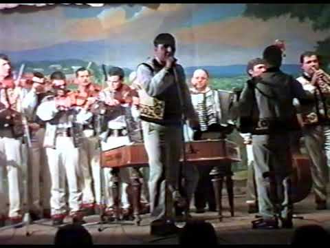 Ion Botnar - Azi îi horă în sat la noi, 2002