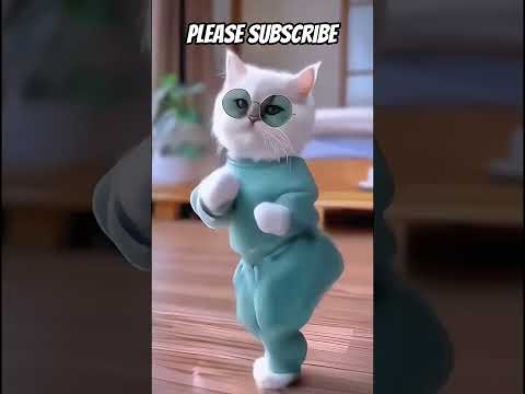so cute cat and please subscribe this channel//kuldeep gomaram hingra//777//