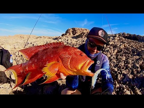 I Caught Australia's Best Looking Fish | Dirk ep1