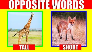 OPPOSITE WORDS in English for Kids | Learn Antonyms for Preschool, Kindergarten