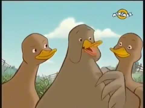 Rățușca cea urâtă, Hans Christian Andersen