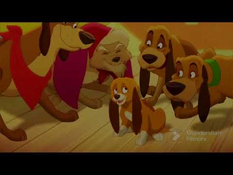 Cooper & company part 11 good company