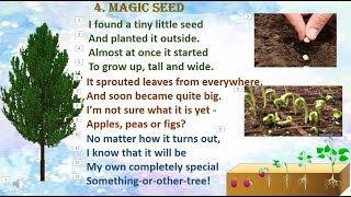 2.4 Magic Seed |Std:1st | Sub : English | By, Akshata Ajay Kale.