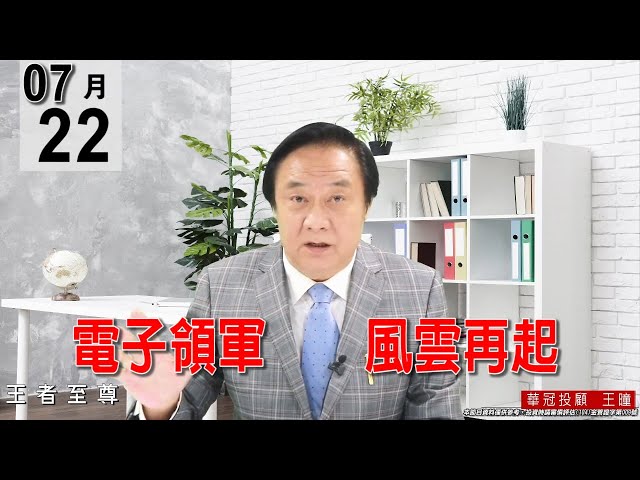 20210722《電子領軍  風雲再起》被動族群表現最為強勢。#王曈 #王者至尊