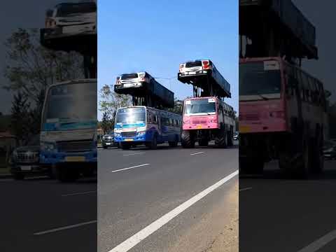 Instavaathi and HuskyBullyCheems