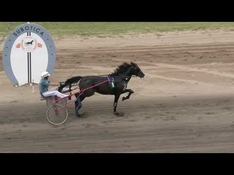 Trka "Almex-Pančevo" 22.08.2021 Aki Boy - Petar Knekt