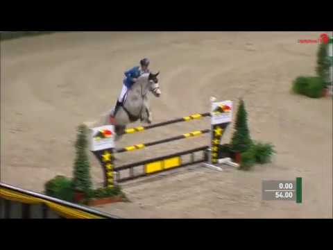 COLORIT Z:  stallone Zangersheide di Christian Ahlmann, www.equine-evolution.com