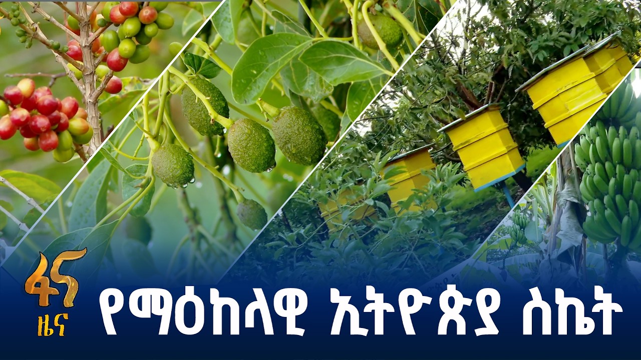 ክልሉ በግብርና ያስመዘገበው ለውጥ