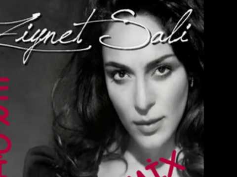 DJ ERDİ 34 VS ZİYNET SALİ RÜYA 2010 (REMİX)