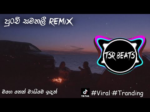Punchi Samanali (Tsr Beats Remix) මගේ නෙත් මායිමේ ඉඳන්