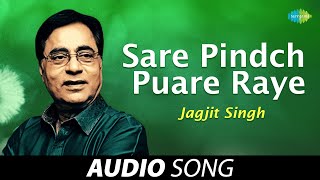 Sare Pindch Puare Raye  Jagjit Singh  Old Punjabi 