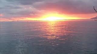 UB40 - Swing low sweet chariot