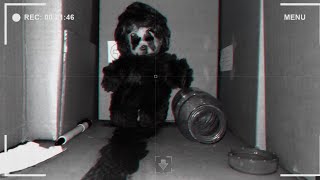 DUMB : TREASURE - A remote-controlled robot in an obscure adventure (Full gameplay)