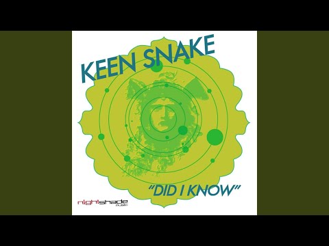 Did I Know (Terry Grant Remix)