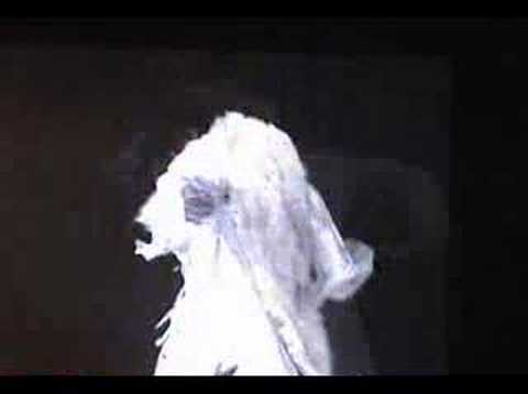 AX 2006 Masquerade // Entry 16 - Trinity Blood