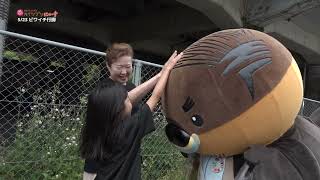 2026/6/25放送・知ったかぶりカイツブリにゅーす