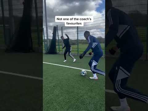 MEET THE BENCH WARMER😓