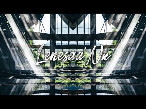 BLACKFLAYS x PANS - PINEAPPLE ( HALFDAN REMIX ) 2022