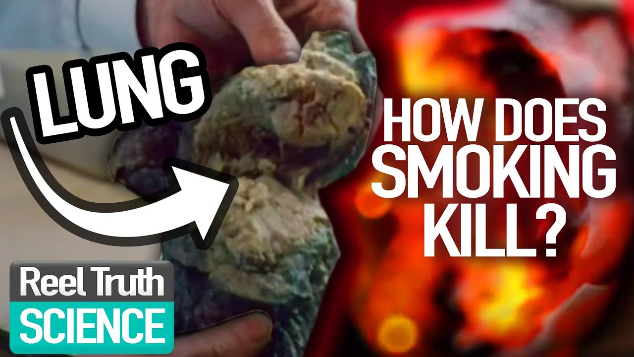Burning Desire The Seduction of Smoking