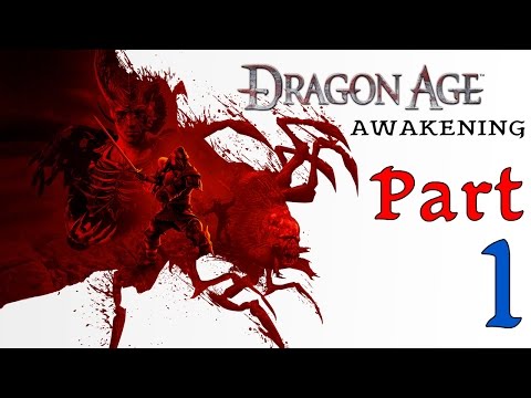 Let's Play Dragon Age Awakening Part 1