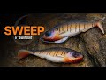 Lee Livesay Swimbait Breakdown (You Can Fish This Bait ANYWHERE)