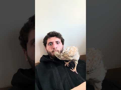 معقول يعملها !!؟