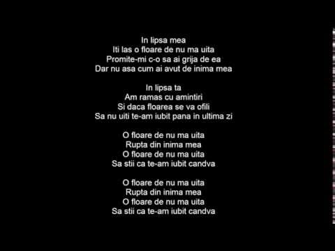 andra floare de nu ma uita( guitar)