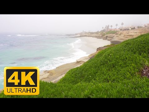 Wave Sounds in La Jolla | 1 Hour 4K ASMR
