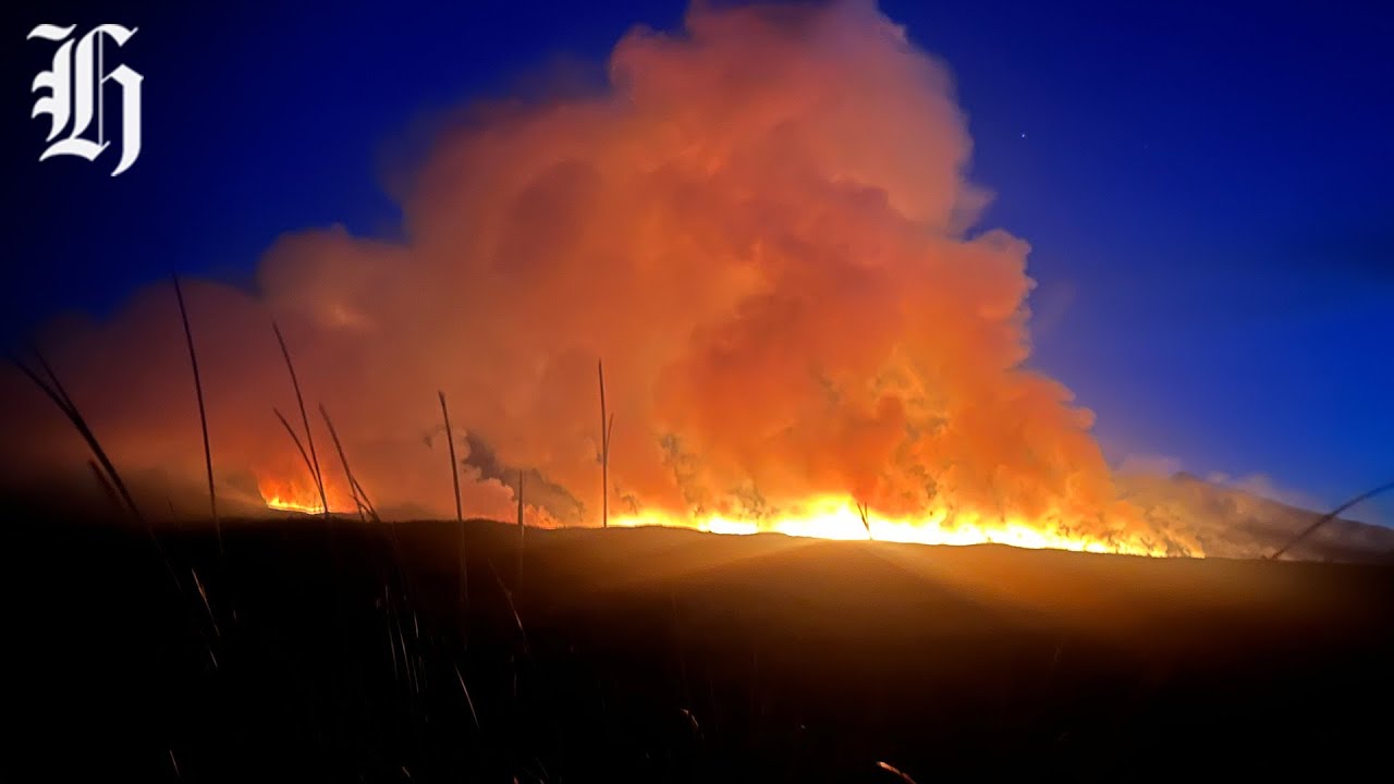 'Sacred and spectacular': DoC warns Tongariro fire threaten unique species | Herald NOW
